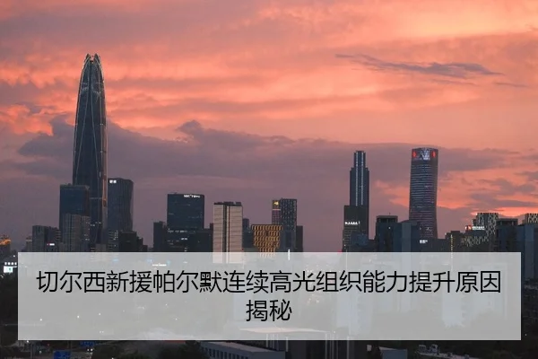 切尔西新援帕尔默连续高光组织能力提升原因揭秘